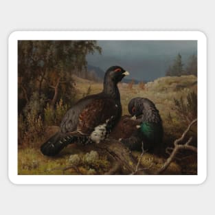 Capercaillie Cocks by Ferdinand von Wright Sticker